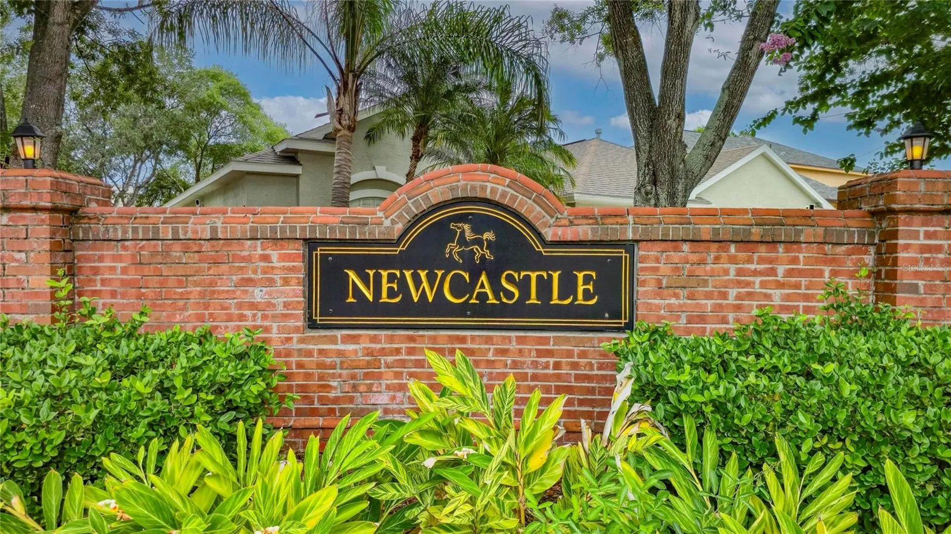 11901 Northumberland Drive Tampa FL 33626