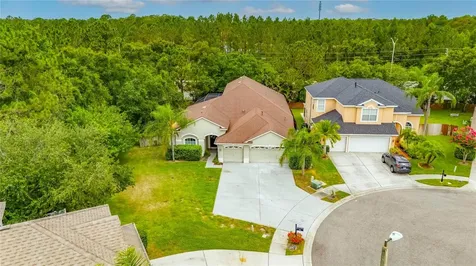 11901 Northumberland Drive Tampa FL 33626