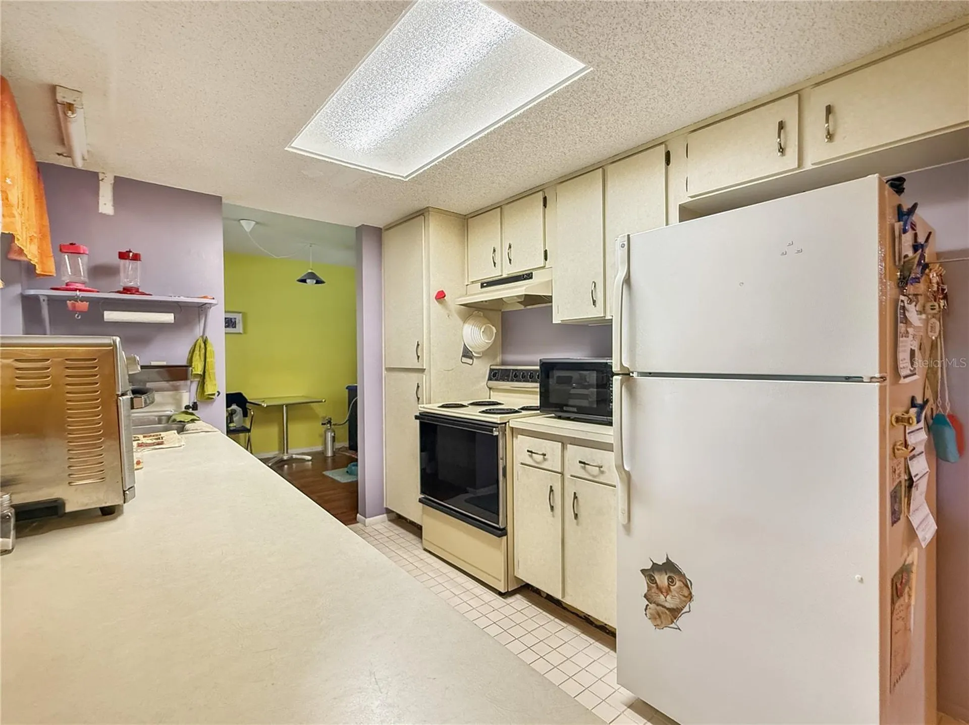 6904 Williams Road Seffner FL 33584
