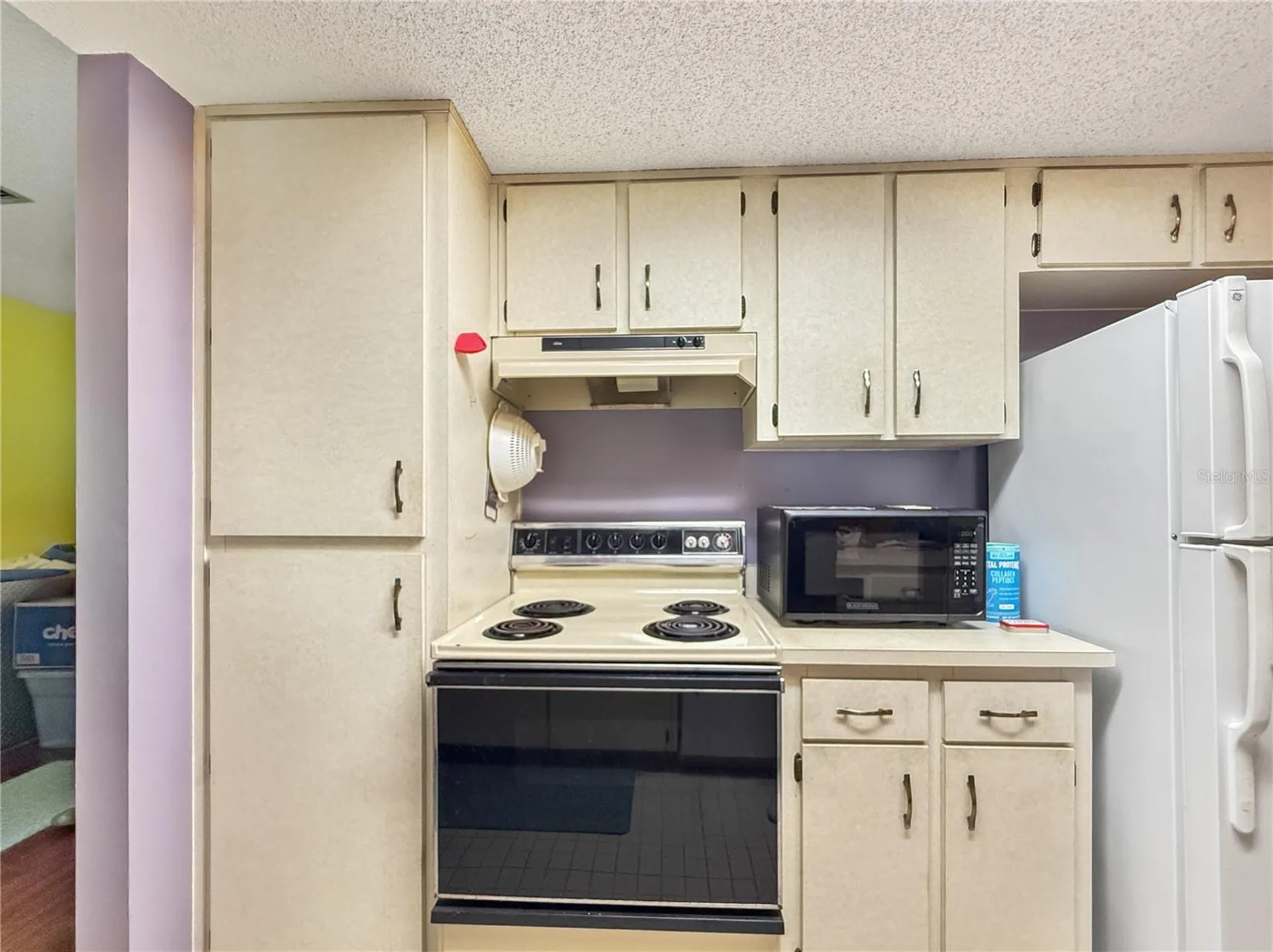 6904 Williams Road Seffner FL 33584