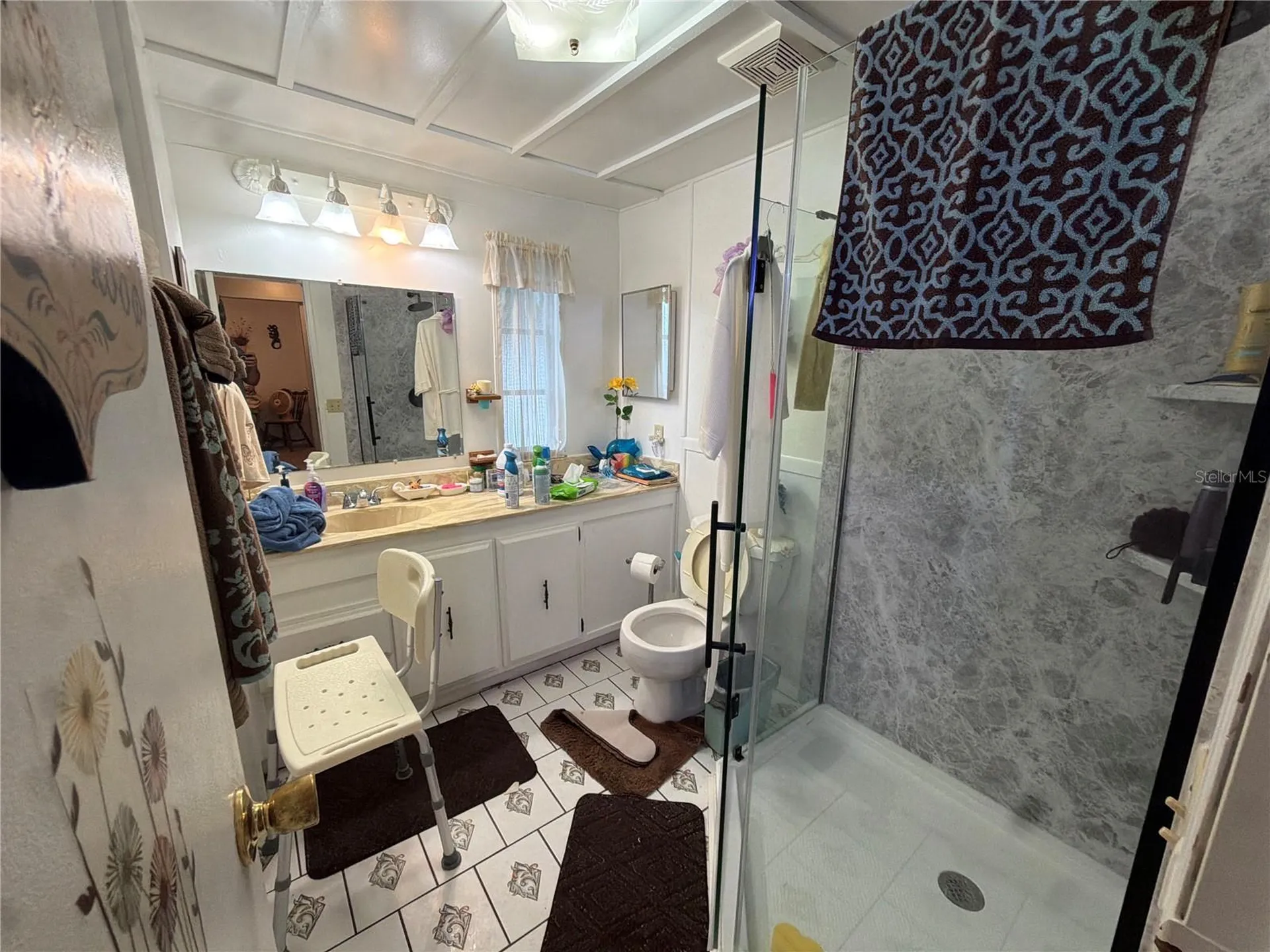 2595 Brookside Circle Mount Dora FL 32757