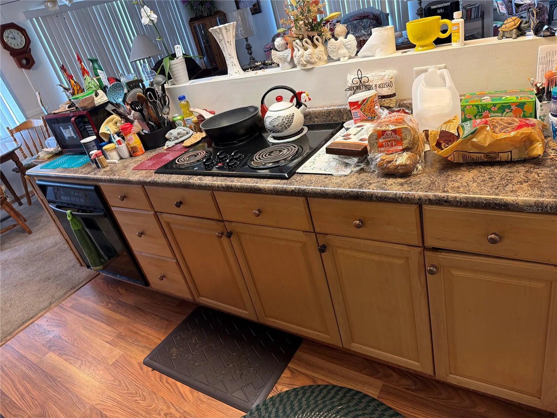 2595 Brookside Circle Mount Dora FL 32757