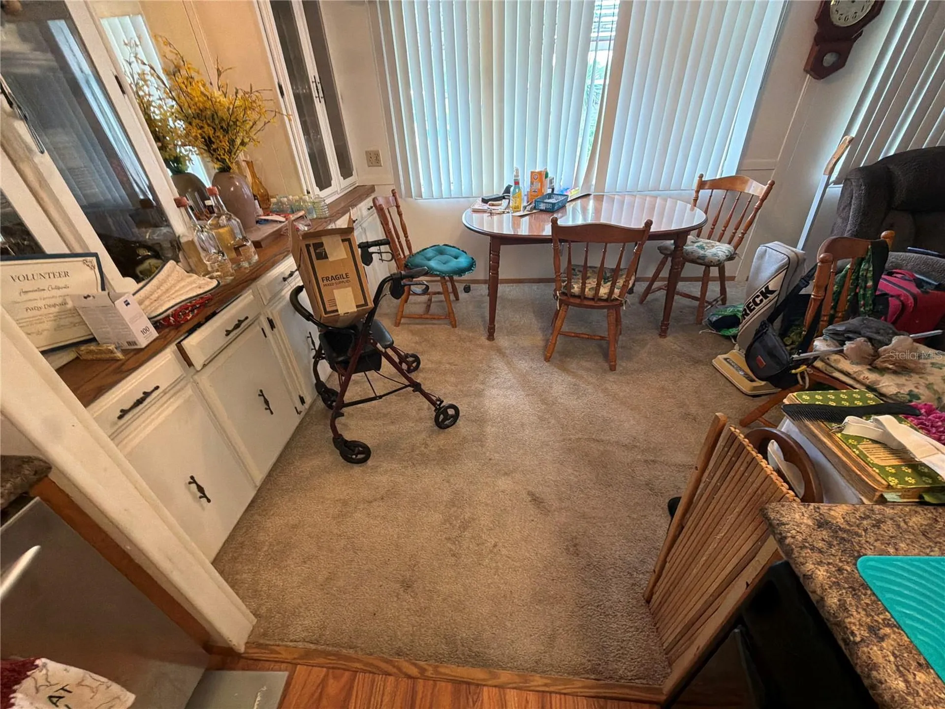 2595 Brookside Circle Mount Dora FL 32757