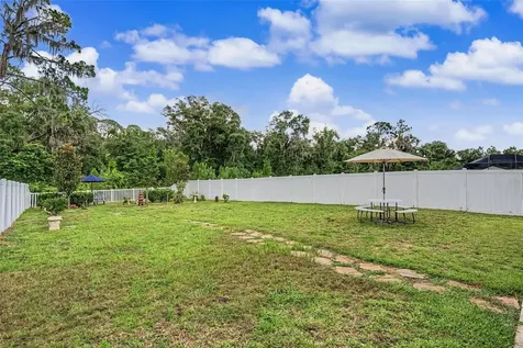 13411 Willow Bluestar Loop Riverview FL 33579