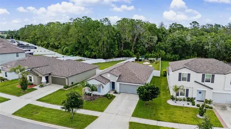 13411 Willow Bluestar Loop Riverview FL 33579