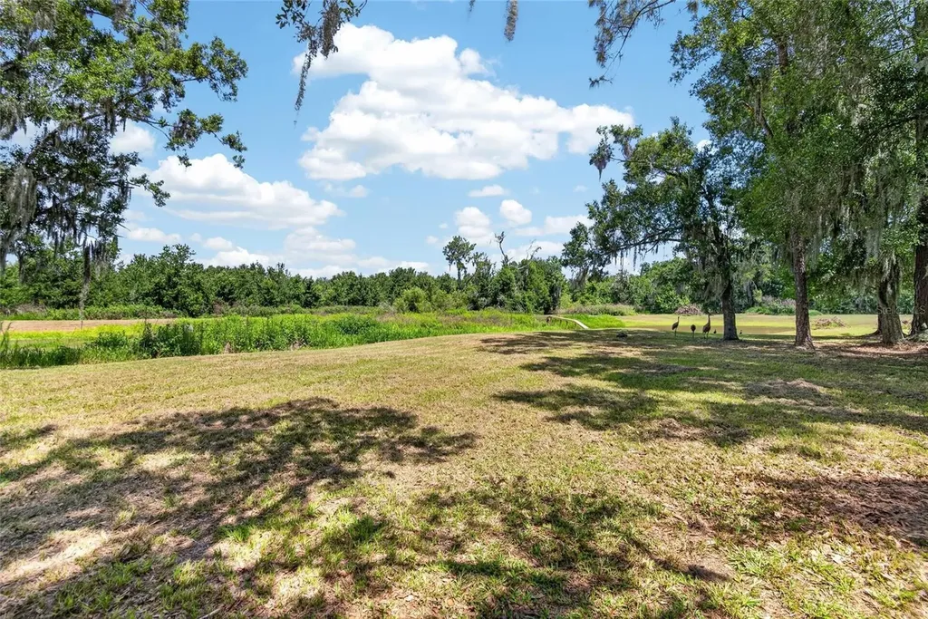 4535 Meadowview Drive Lakeland FL 33810