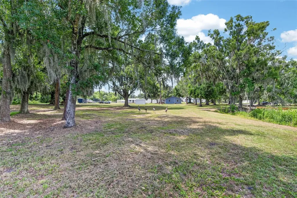 4535 Meadowview Drive Lakeland FL 33810