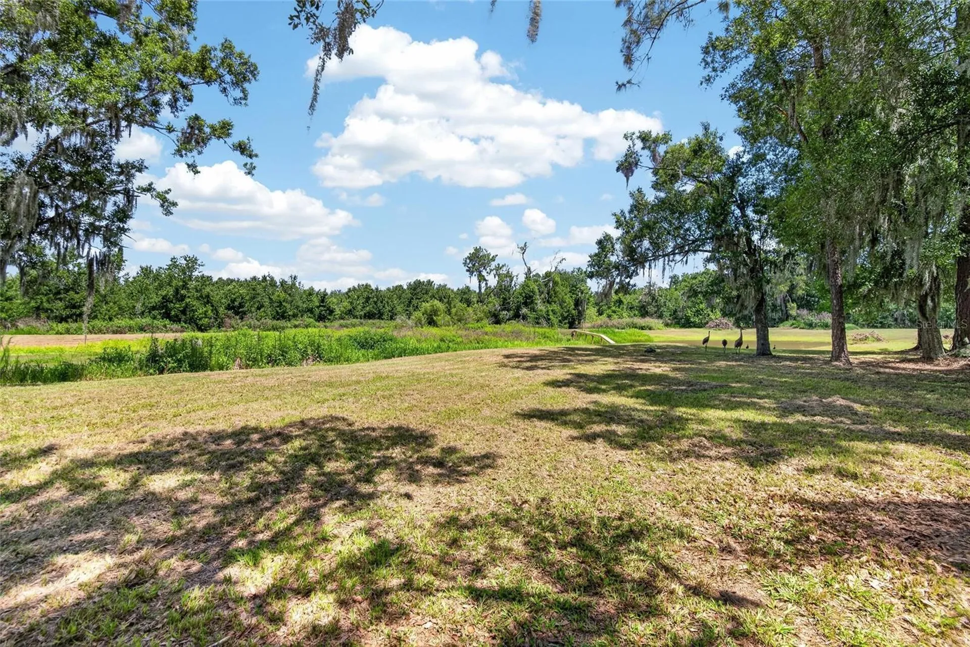 4535 Meadowview Drive Lakeland FL 33810