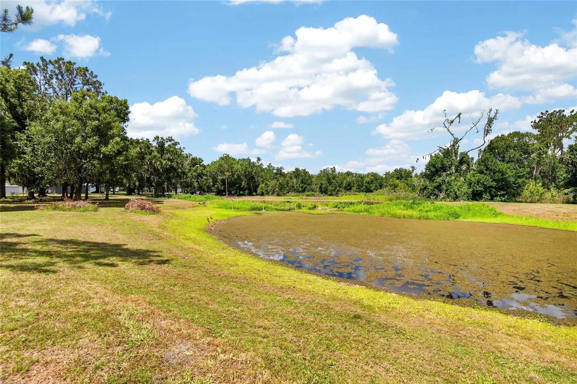 4535 Meadowview Drive Lakeland FL 33810