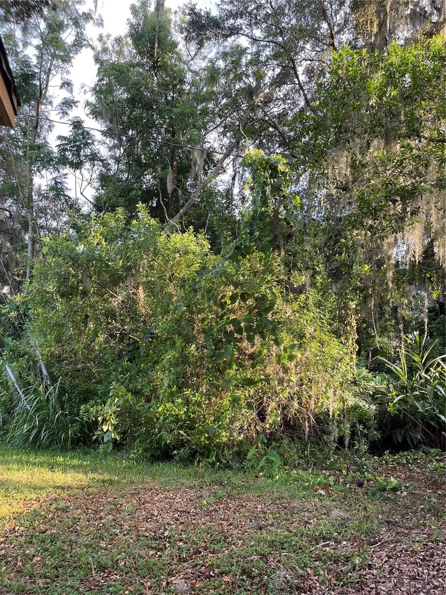 2708 Dixie Road Lakeland FL 33801