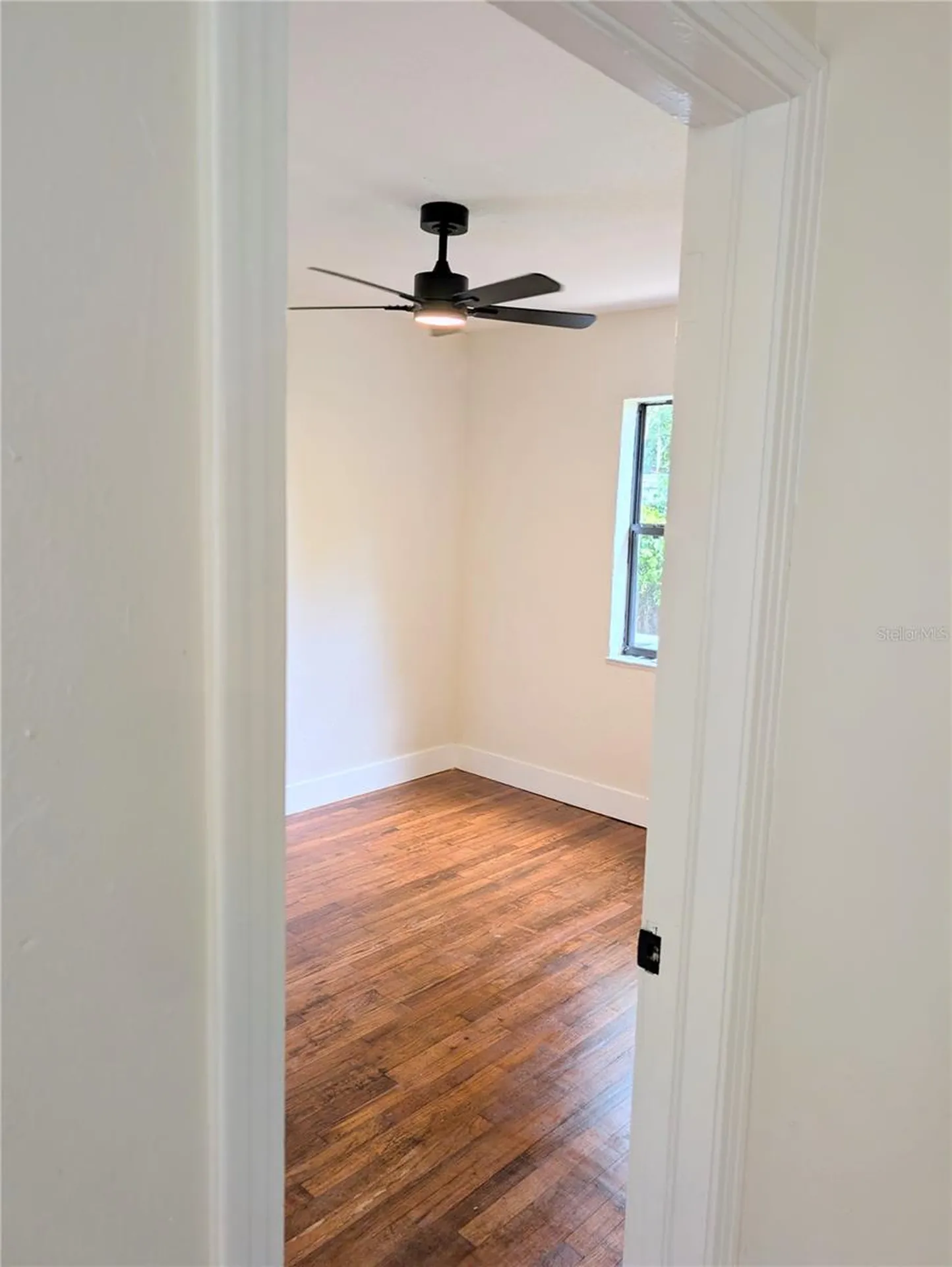 8206 N 19th Street Tampa FL 33604