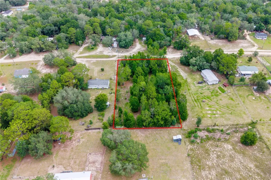 8270 NE 115 Street Bronson FL 32621