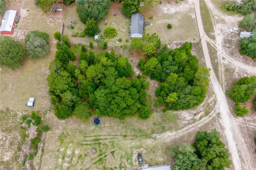 8270 NE 115 Street Bronson FL 32621
