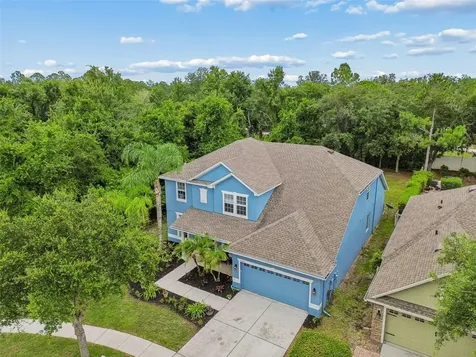7040 Cardinalwood Lane Land O Lakes FL 34637