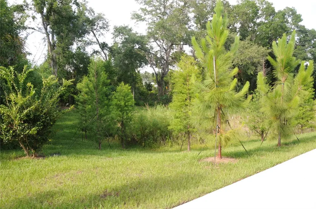 4341 Cambio Gardens Court Tampa FL 33610