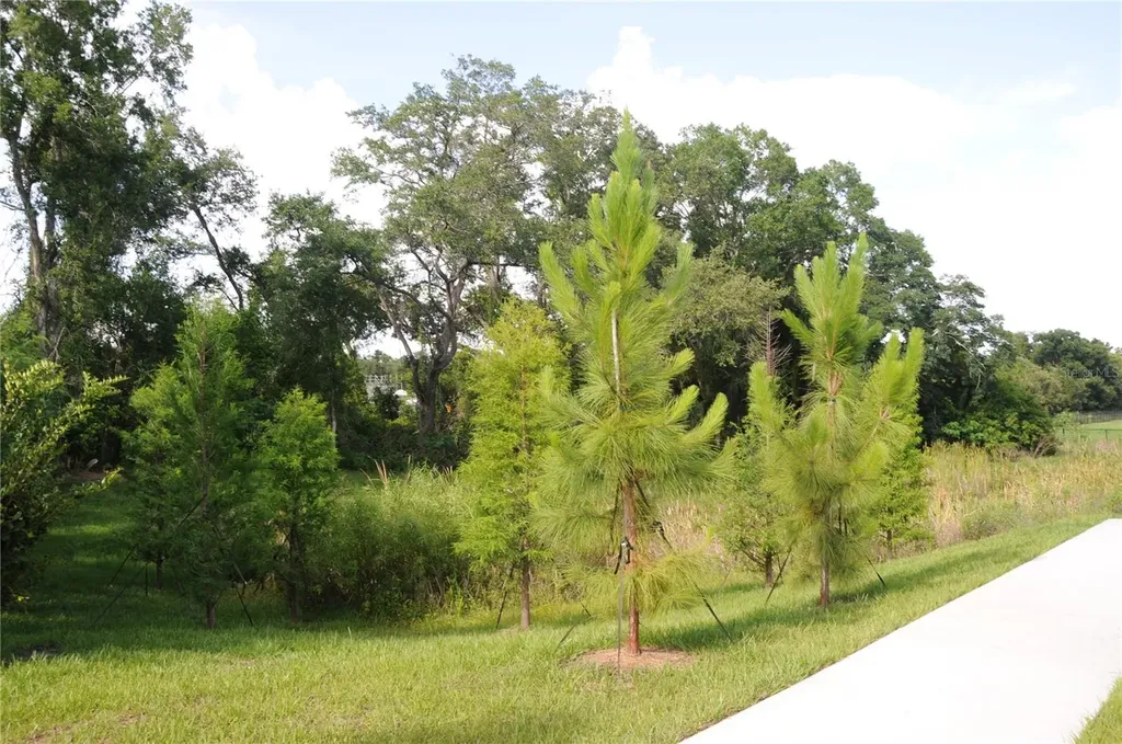 4341 Cambio Gardens Court Tampa FL 33610