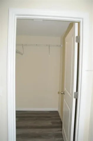 4341 Cambio Gardens Court Tampa FL 33610