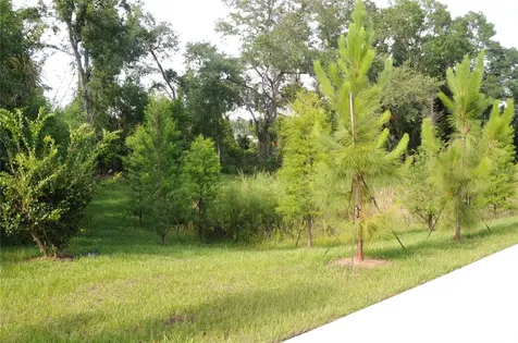 4341 Cambio Gardens Court Tampa FL 33610
