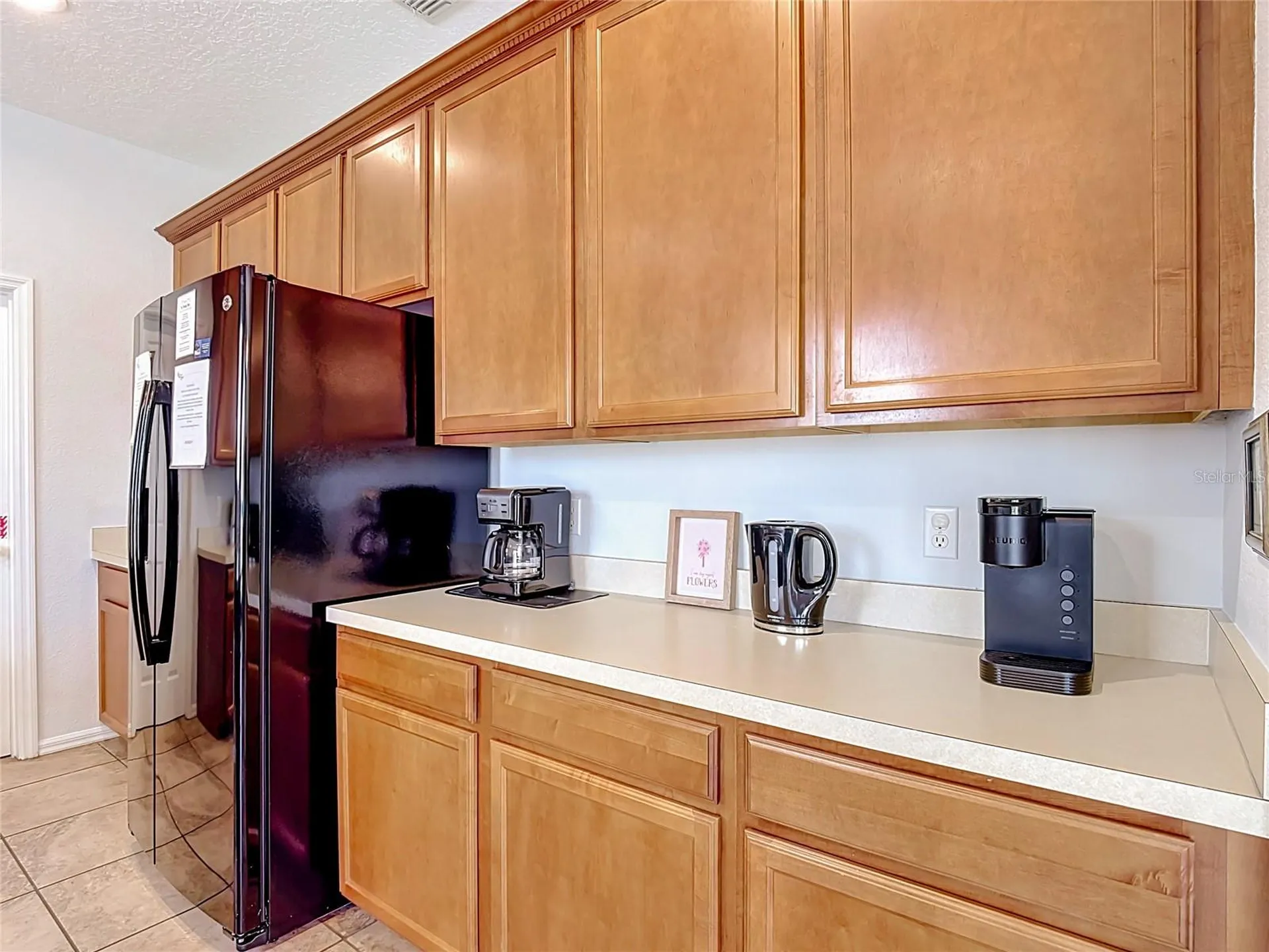 228 Cassia Drive Davenport FL 33897