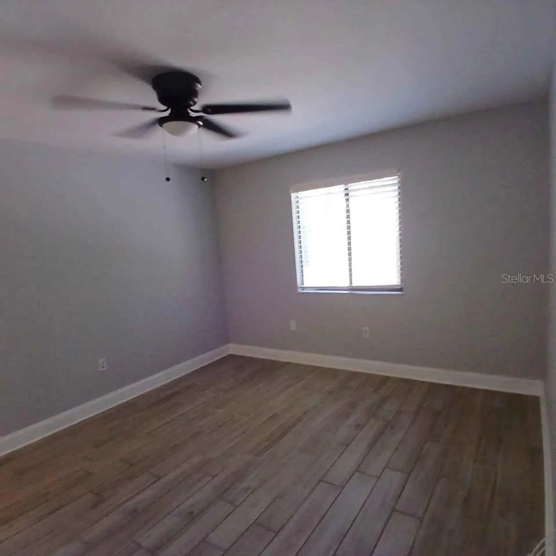 2130 Bancroft Place Palm Harbor FL 34683