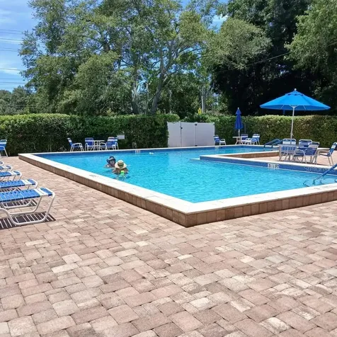 2130 Bancroft Place Palm Harbor FL 34683