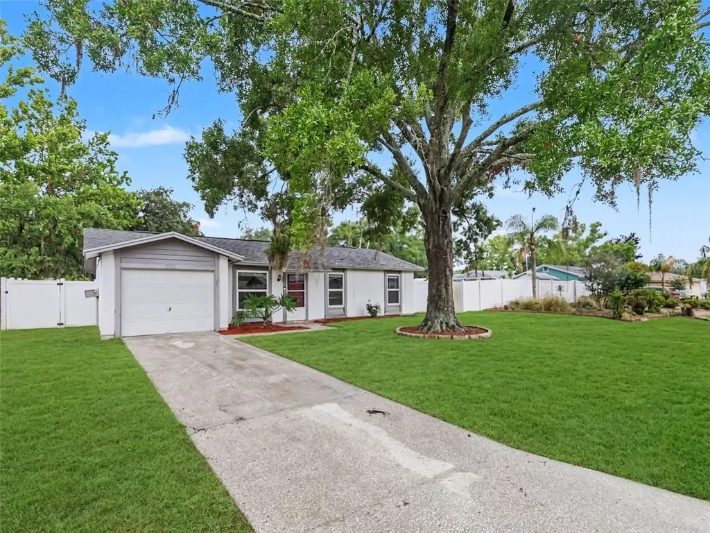 22630 Newfield Court Land O Lakes FL 34639
