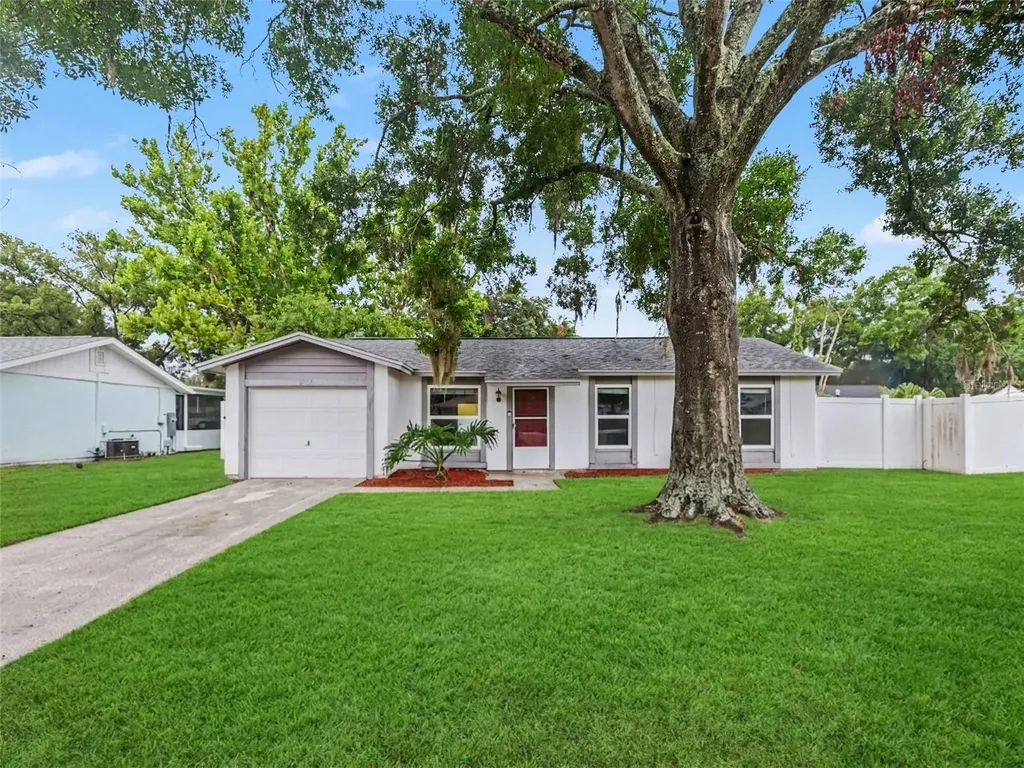 22630 Newfield Court Land O Lakes FL 34639