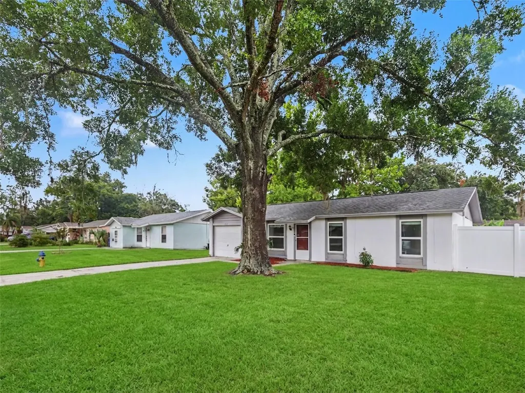 22630 Newfield Court Land O Lakes FL 34639