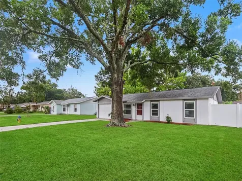 22630 Newfield Court Land O Lakes FL 34639