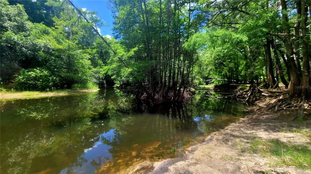 8664 Cr 639 Bushnell FL 33513