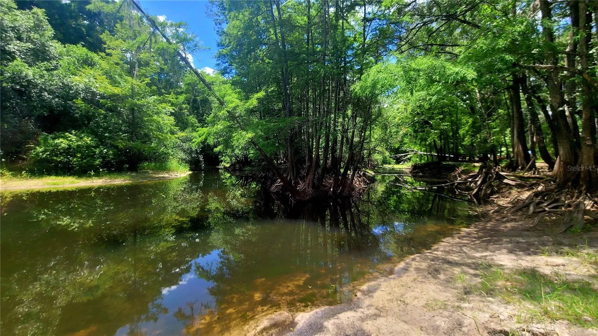 8664 Cr 639 Bushnell FL 33513
