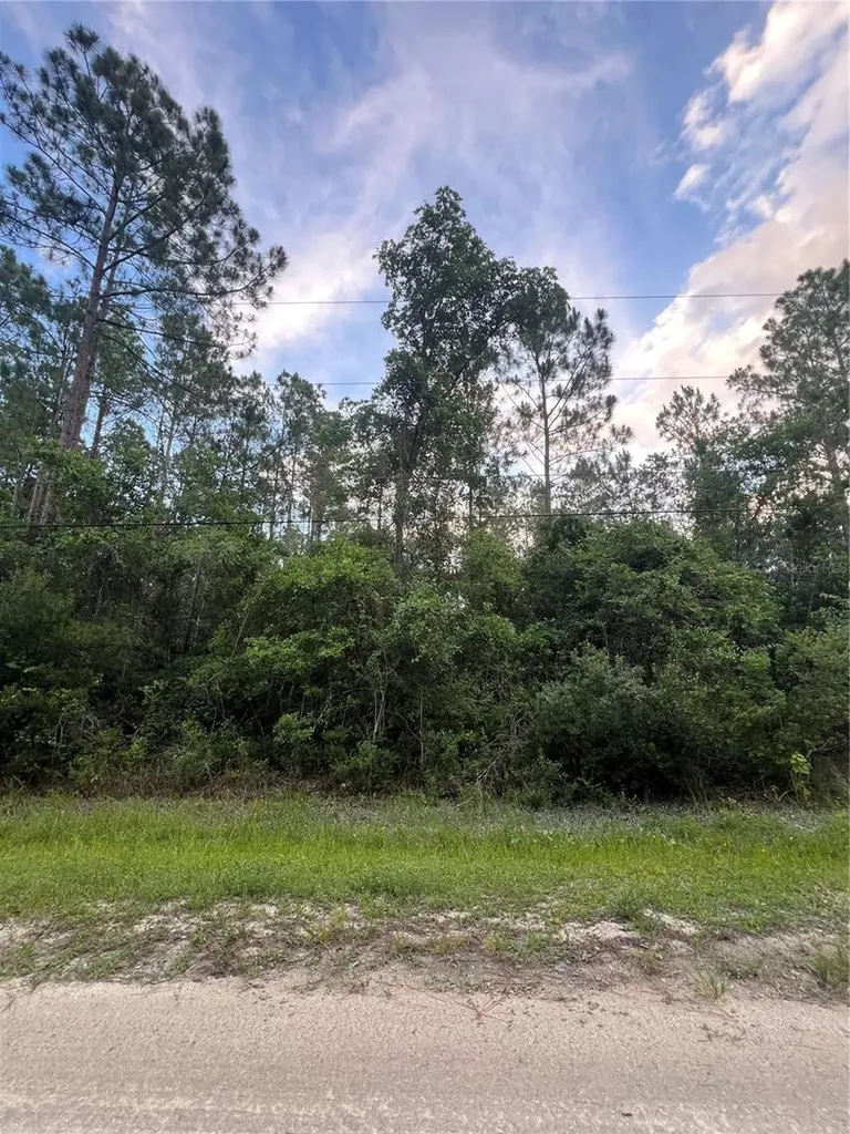 1411 Elder Street Bunnell FL 32110