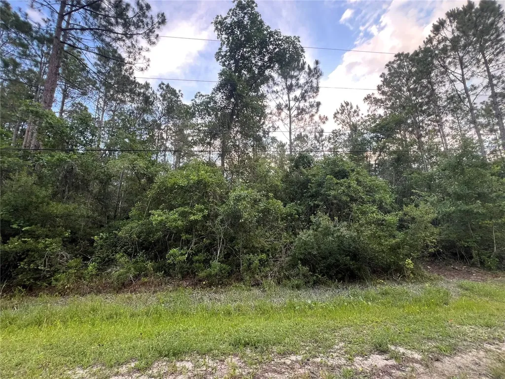 1411 Elder Street Bunnell FL 32110