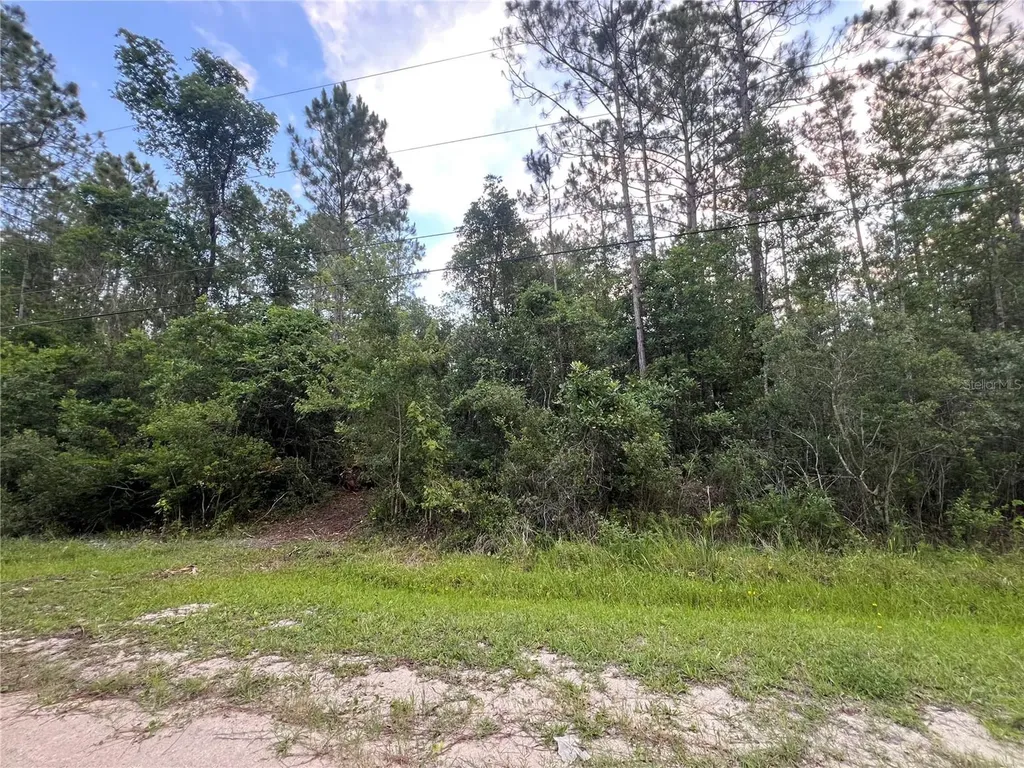 1411 Elder Street Bunnell FL 32110