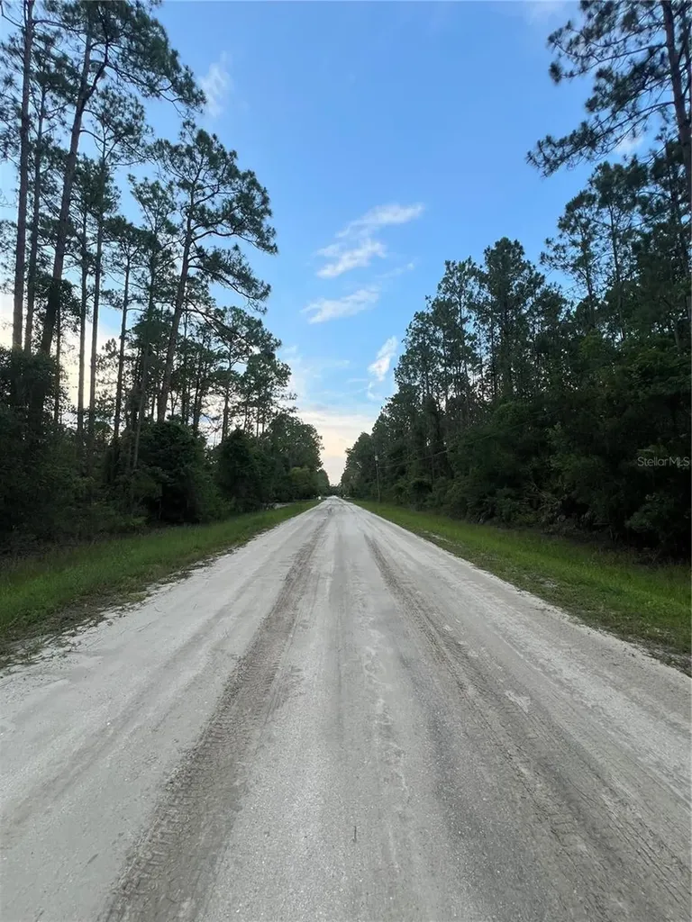 1411 Elder Street Bunnell FL 32110