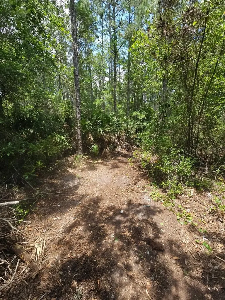 1411 Elder Street Bunnell FL 32110