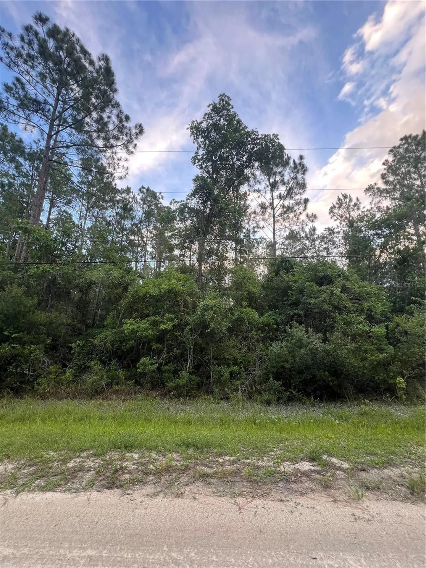 1411 Elder Street Bunnell FL 32110