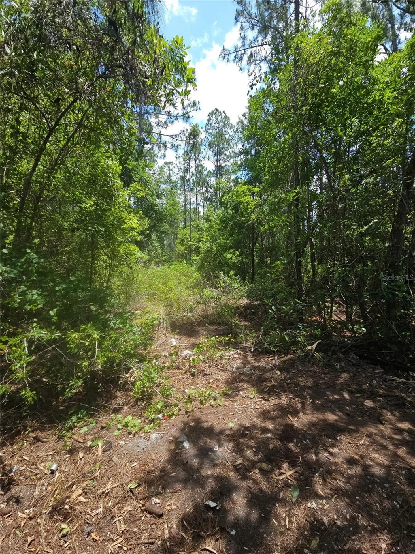 1411 Elder Street Bunnell FL 32110
