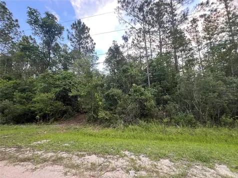 1411 Elder Street Bunnell FL 32110