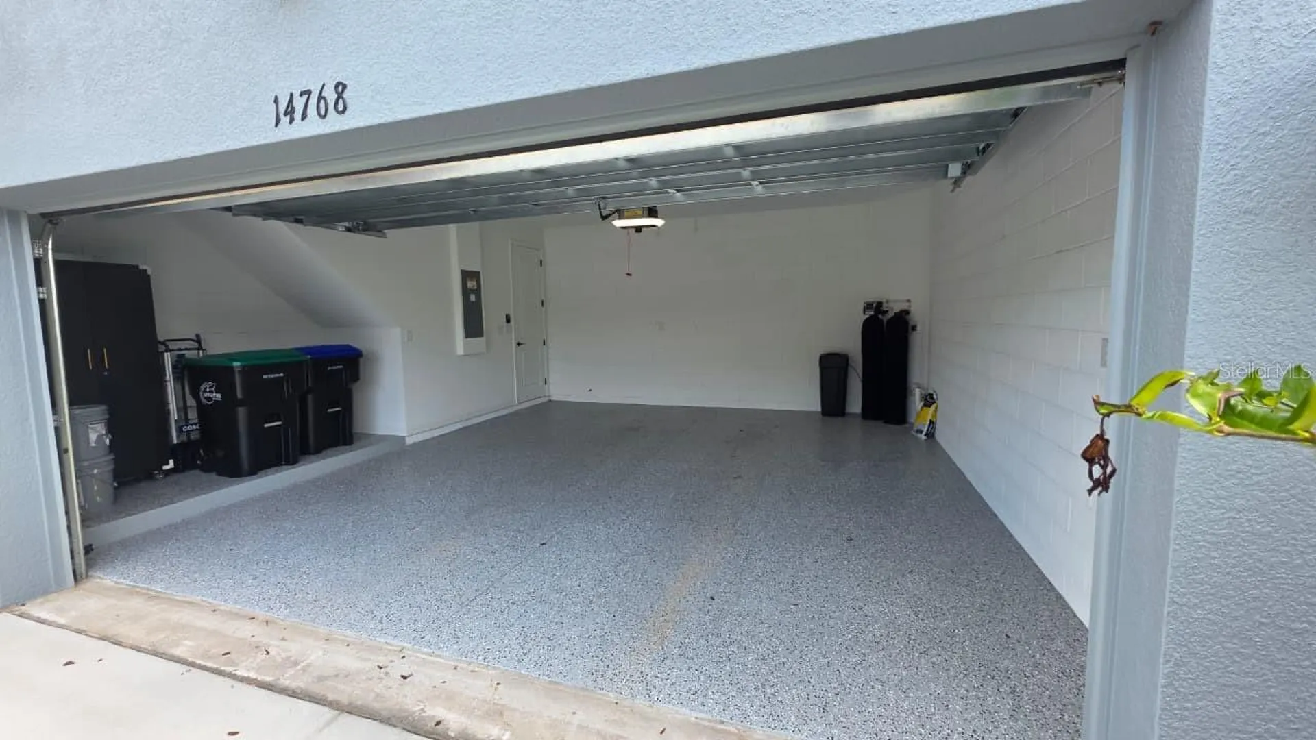 14768 Field Daisy Drive Winter Garden FL 34787