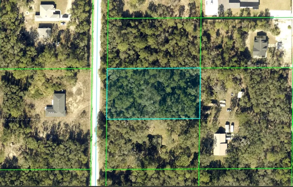 Alloy Street Webster FL 33597