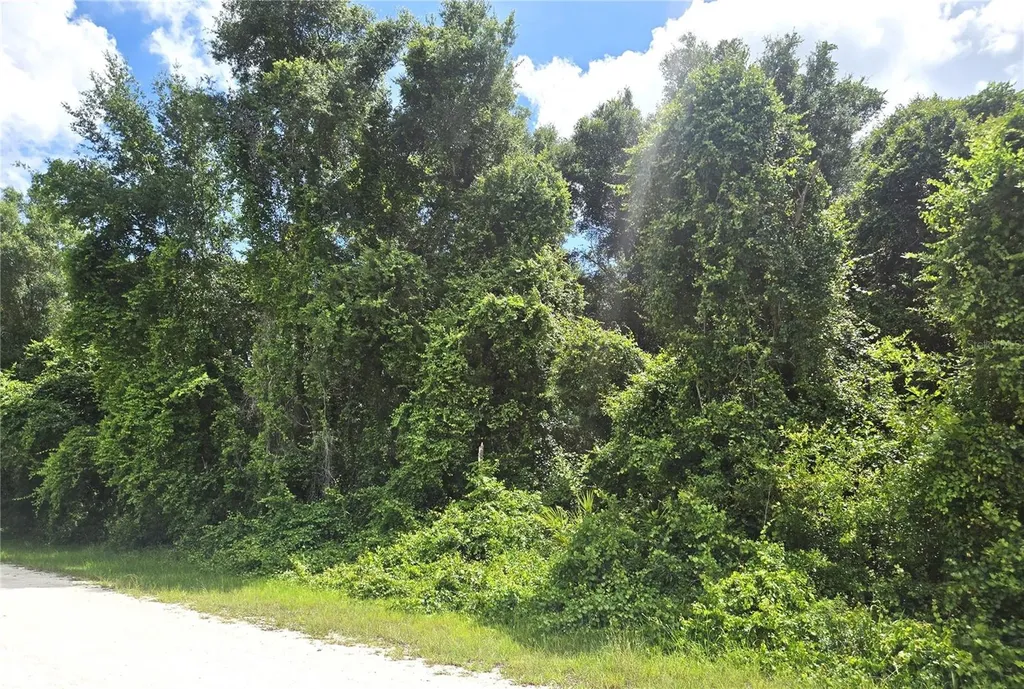 Alloy Street Webster FL 33597