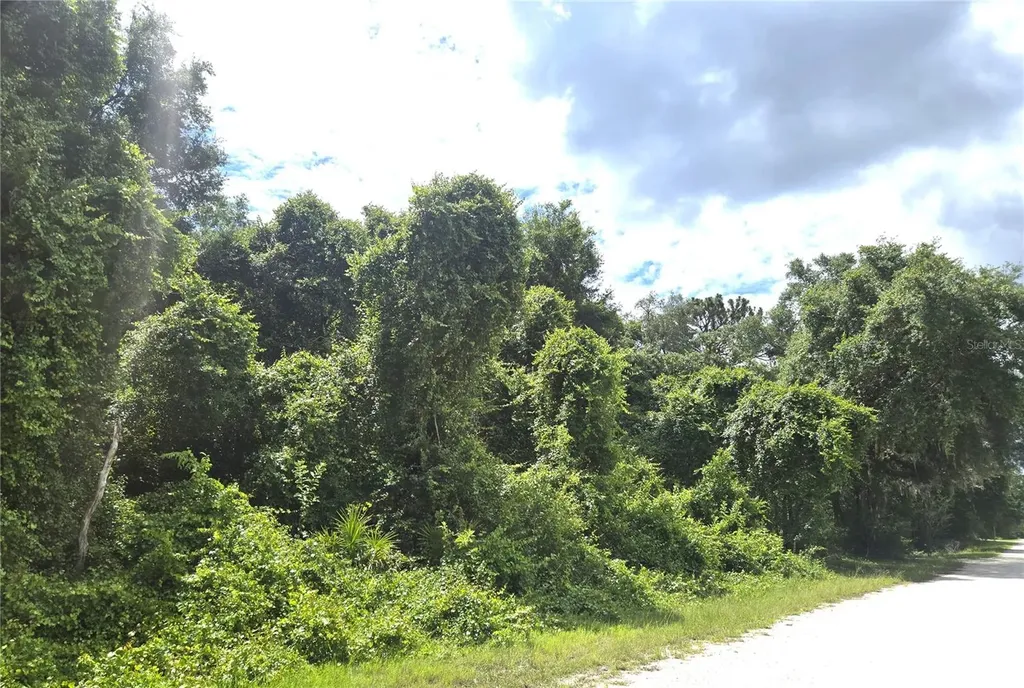 Alloy Street Webster FL 33597