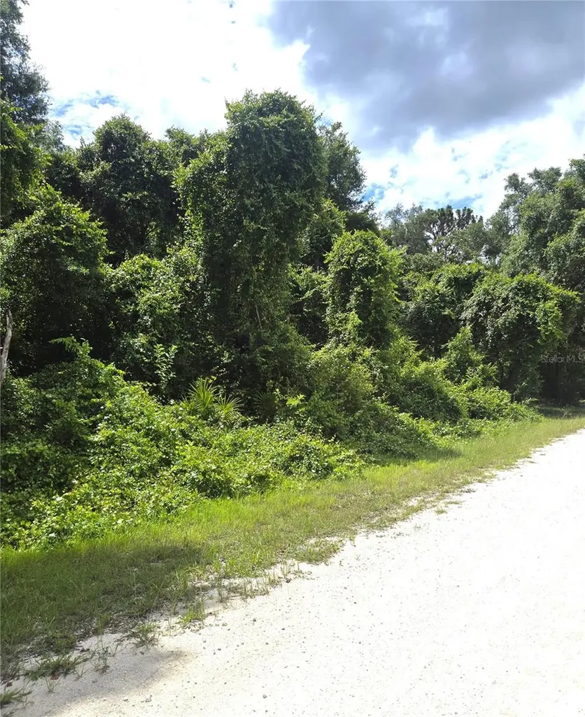 Alloy Street Webster FL 33597