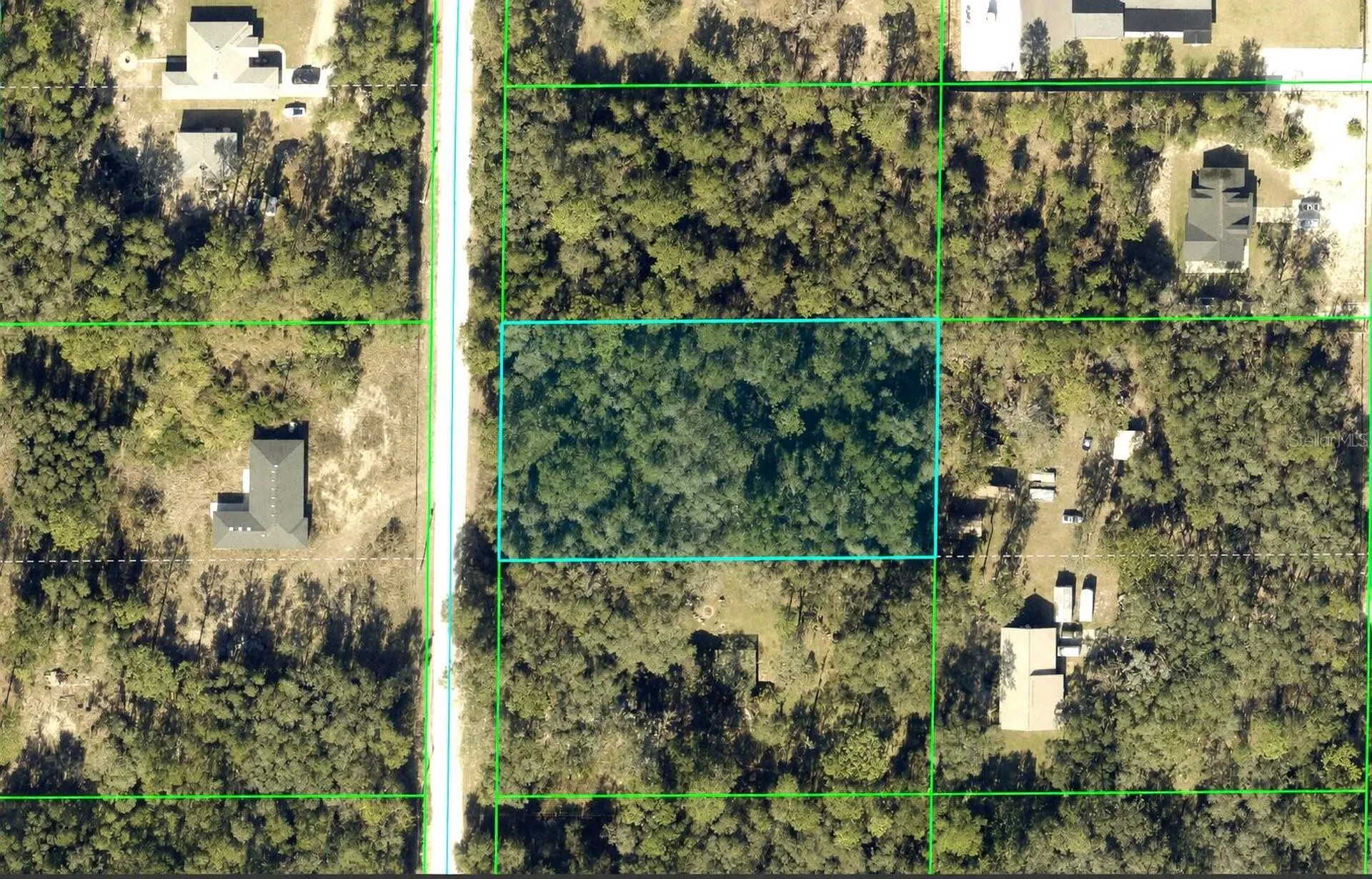 Alloy Street Webster FL 33597