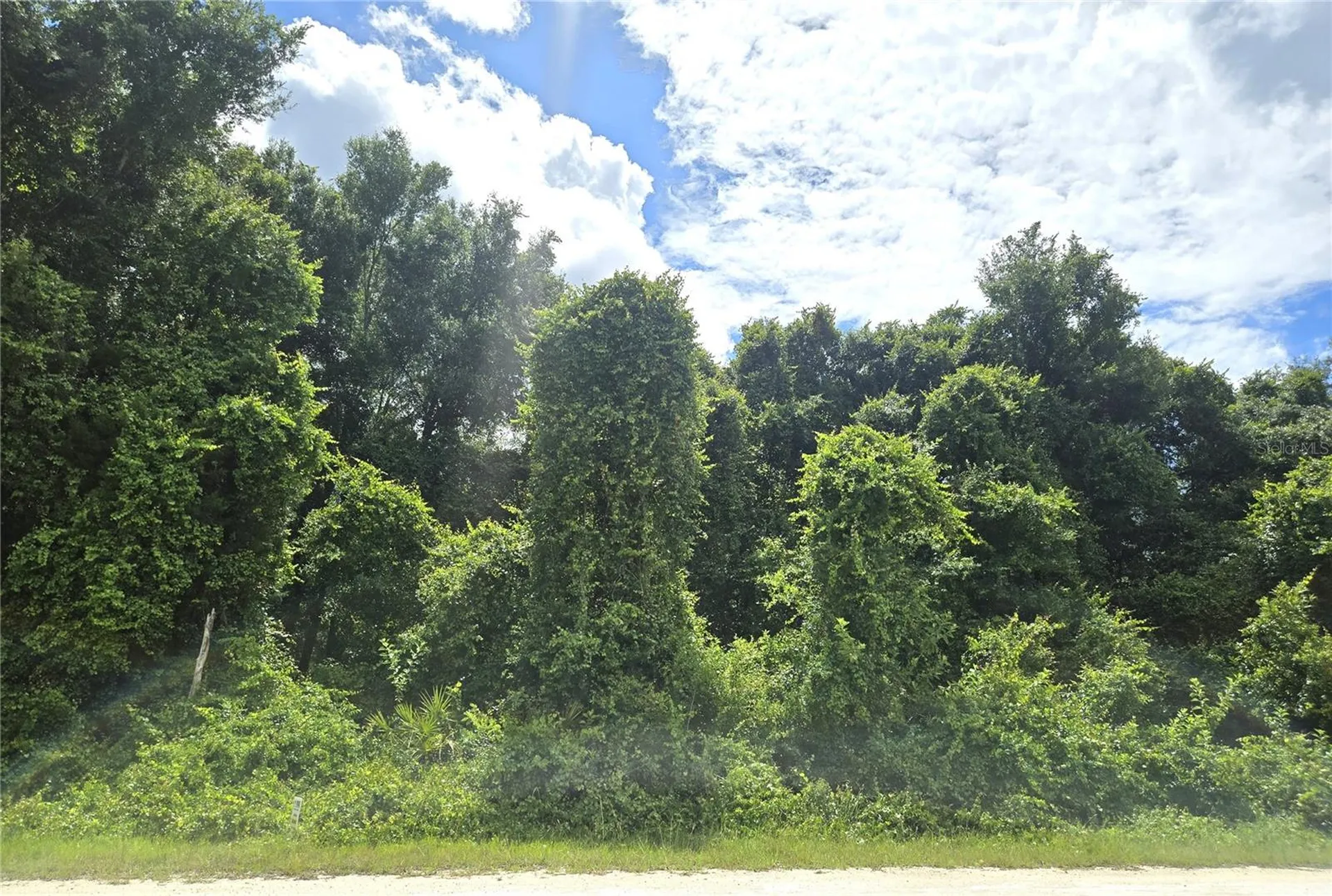Alloy Street Webster FL 33597