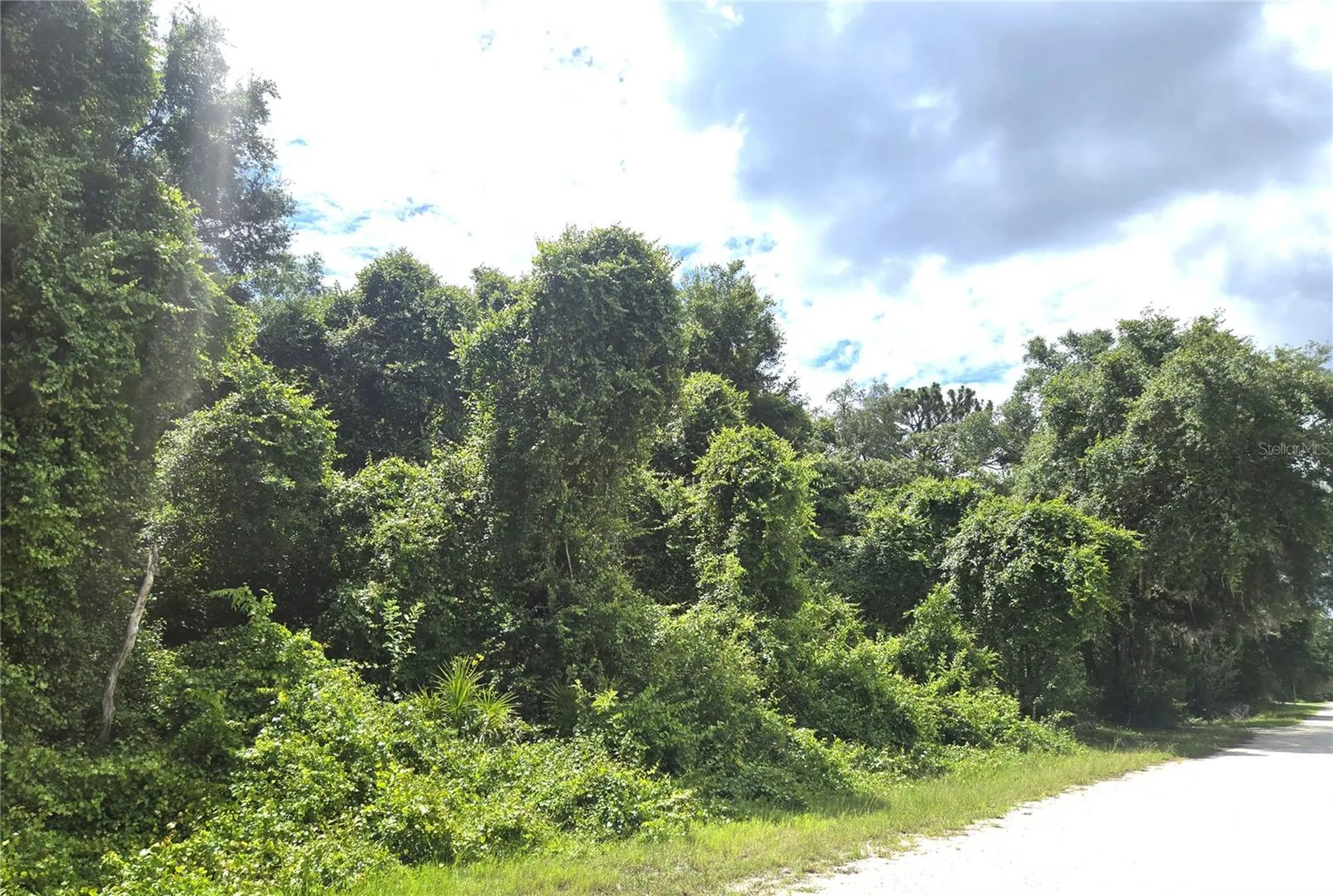 Alloy Street Webster FL 33597
