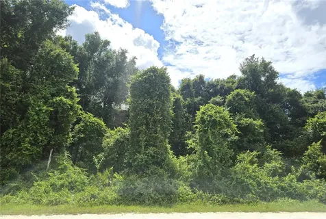 Alloy Street Webster FL 33597