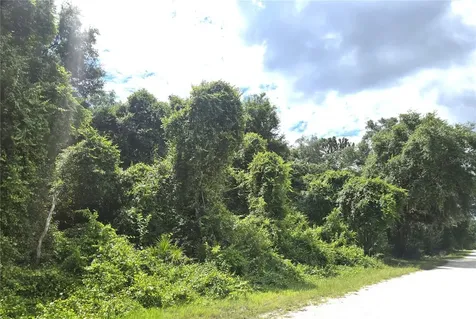 Alloy Street Webster FL 33597