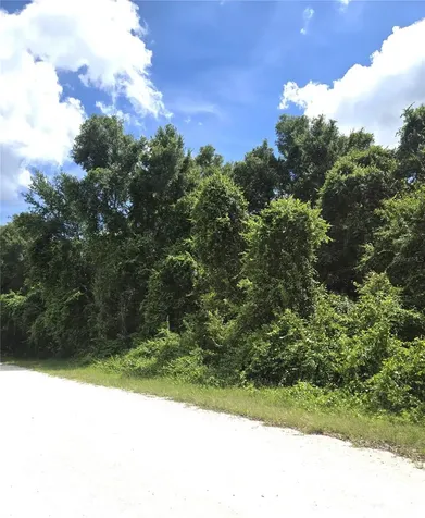 Alloy Street Webster FL 33597